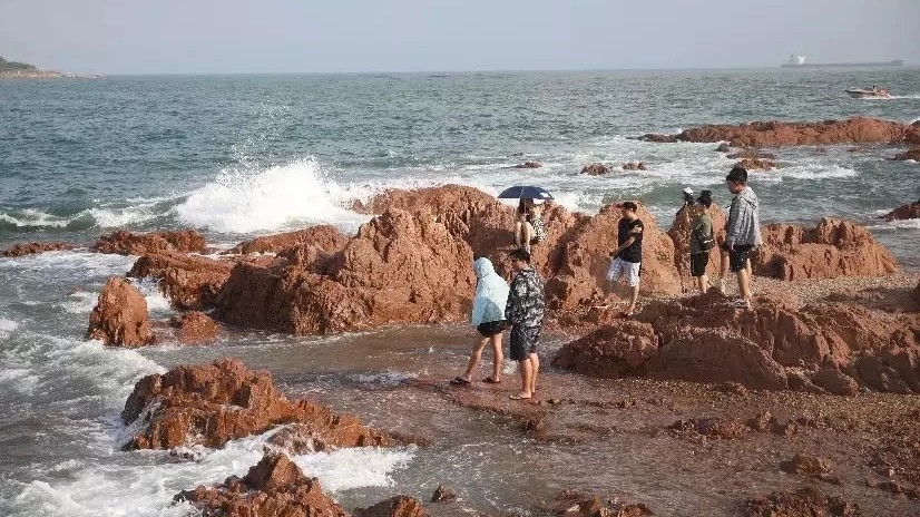 台风频频光顾岛城 天气复杂多变 不少来青旅游的外地游客 在海边赶海