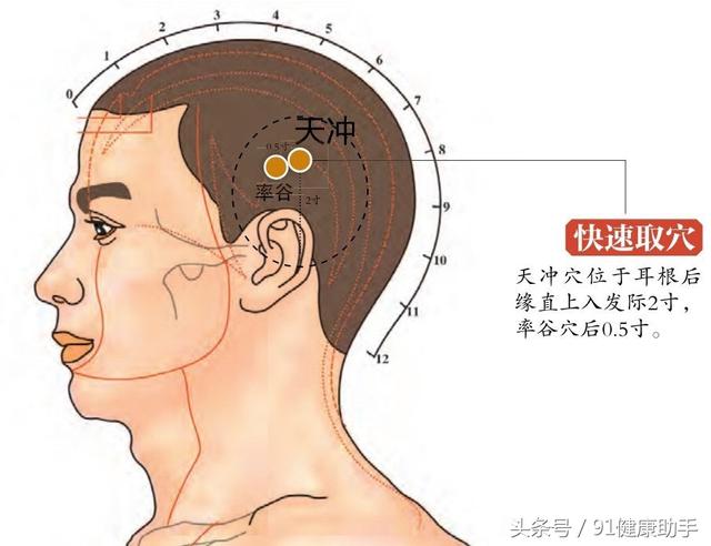 穴位养生| 头痛耳鸣,癫痫,惊恐按天冲穴, 清热消肿,祛风定惊