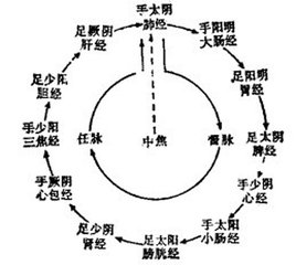 经络气血会伤及人的皮肉