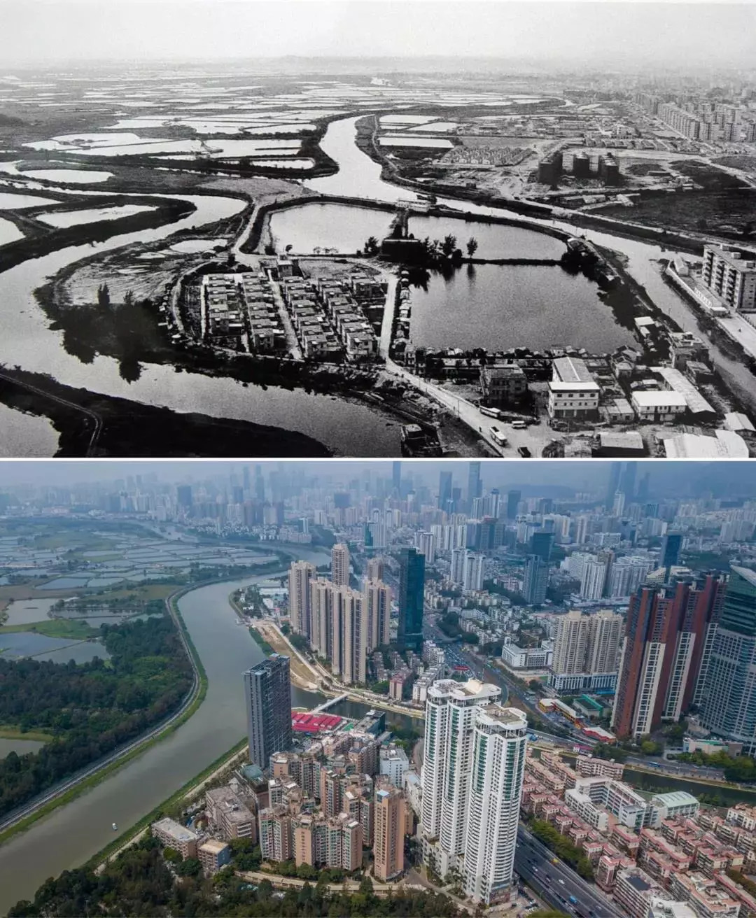 渔民村坐落于深圳河畔,从上世纪70年代水草飘零的渔船人家到改革开放