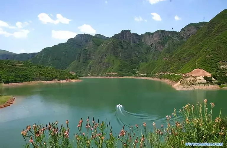 崆峒白杨林,灵台邓家川2座水库初步设计报告编制正在积极推进中 来源