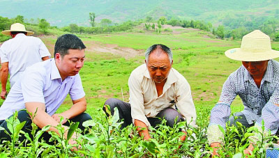 四川各个地方的gdp_各地经济“中考”成绩不错16省GDP破万亿(2)