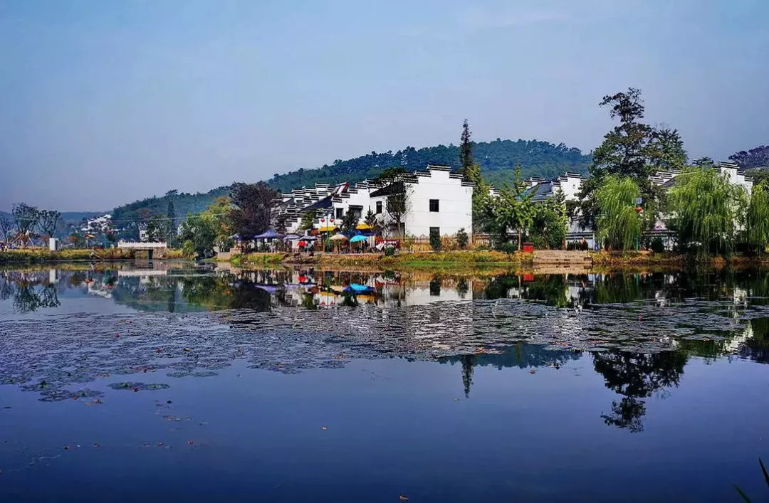 地址:南京市江宁区横溪街道石塘社区 推荐:竹海,怪坡,王氏宗祠,前石塘