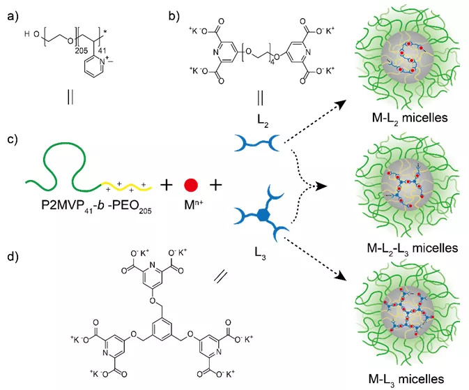 创新前沿我校全职荷兰院士团队在聚电解质自组装胶束研究领域取得进展