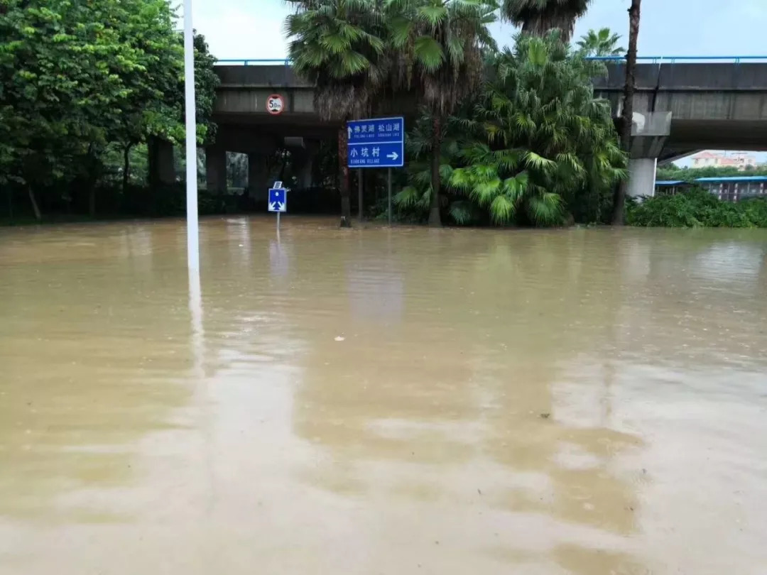 东莞红色暴雨太凶猛！很多镇街遭遇水浸，图片震撼！这些常识关键时刻能救命！_路段
