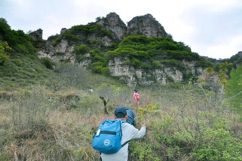 森林营地怎么搭_森林旅居营地(2)