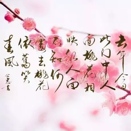 之乎者也丨为什么走桃花运,是"桃花"而不是别的花?