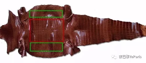 鳄鱼的种类有很多 被爱马仕选用的主要有三种 且只选用鳄鱼腹部鳞甲