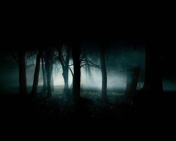 睡前听说频道 | 谷强说《三体2》 第九期:恐怖的黑暗森林
