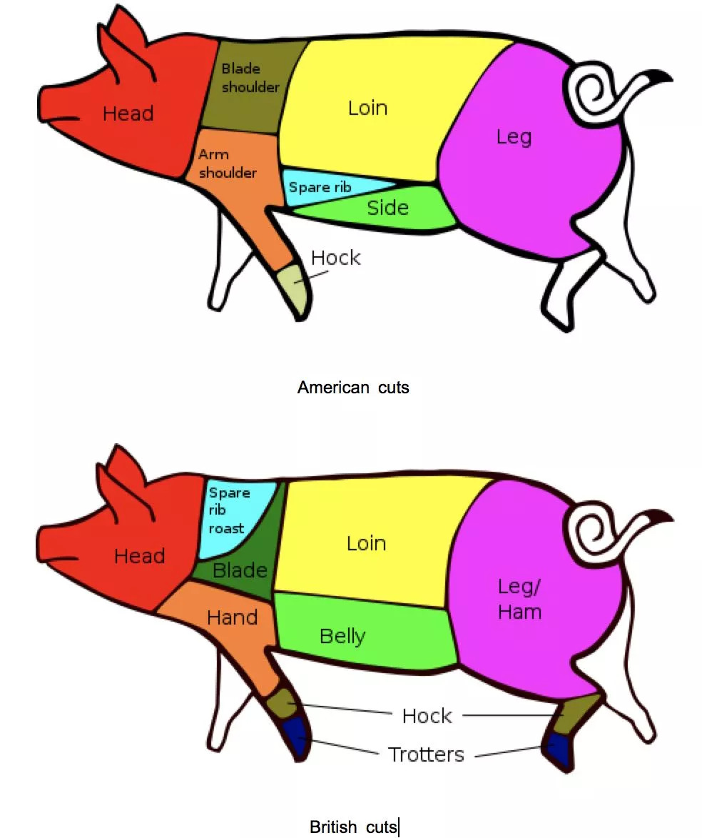 的英文表达猪肩(pork shoulder)猪肩肉(arm picnic):带小腿(shank),有