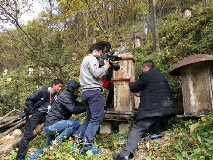 神农架招聘_神农架报社招聘3名记者,年薪8万以上 民生关注 十堰市委市政府门户网站