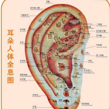 震惊世界的经络穴位图集