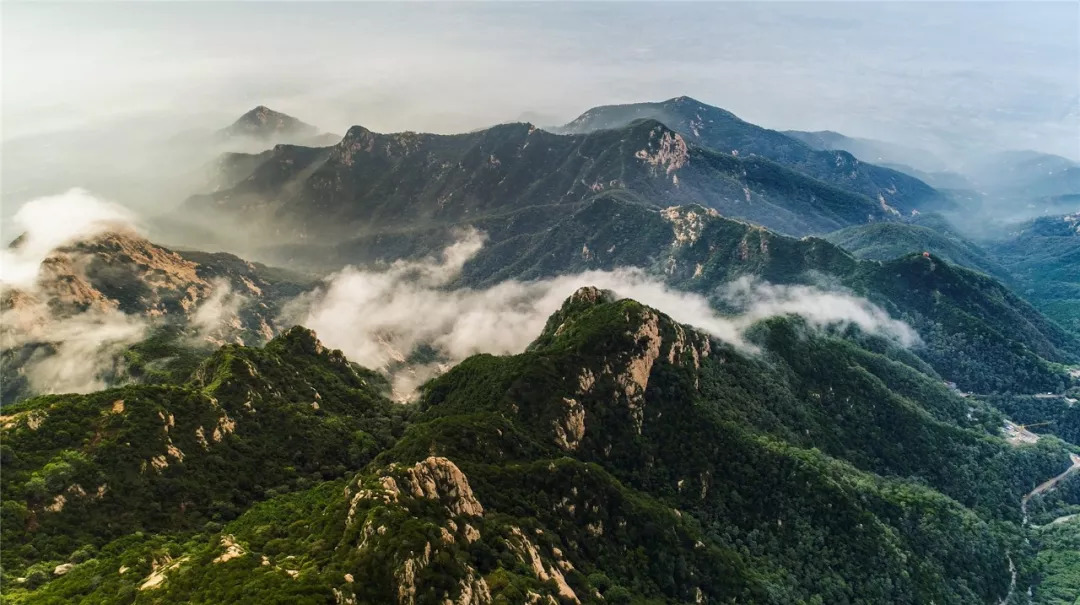 抢票活动,美食节,航拍大赛……泰安市旅发委多项活动助力泰山国际登山