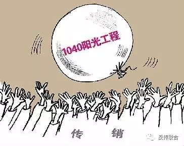 1040老总揭谎过程_植物生长过程图片