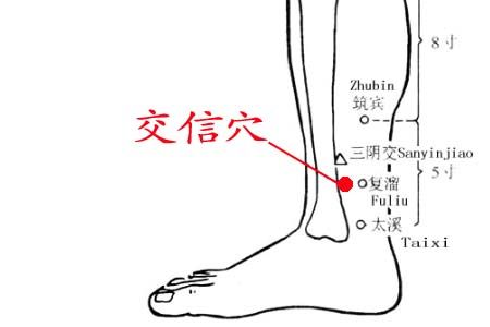 取穴位置:下腹部,肚脐往下5寸的地方,旁开0.