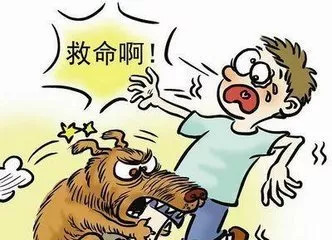 西青医院急诊科团队全力呵护救治重度犬咬伤患儿