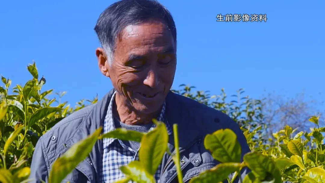 会员动态是他让云龙这个村成为远近闻名的小康村但他副会长单位