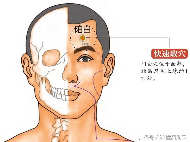 穴位养生| 目眩,目痛,外眦疼痛头痛按阳白穴, 眼睛保健少不了