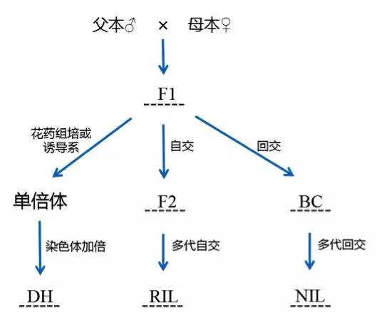 涨姿势,这样的作图群体你肯定不知道!