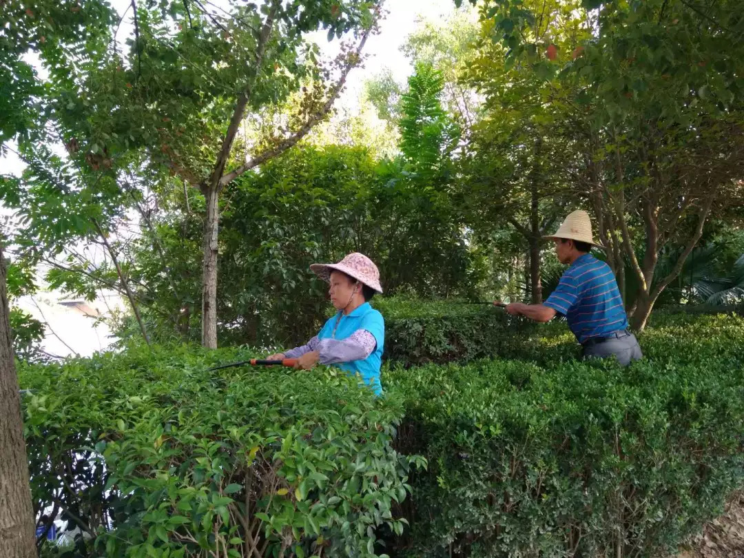 南河多少人口_博社村人口多少(2)