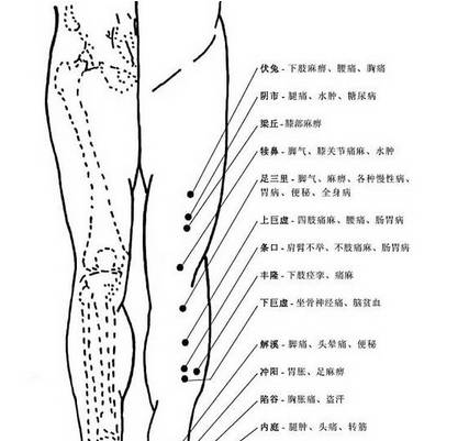 震惊世界的经络穴位图集