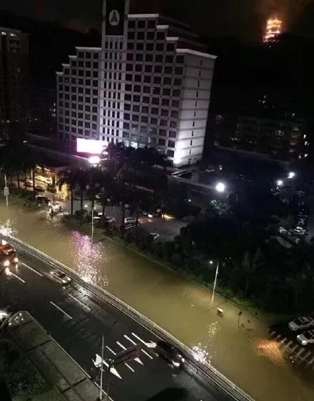 东莞人挺住!暴雨倾城到处被淹,鱼上岸,水过膝,船上路,车掉水坑!