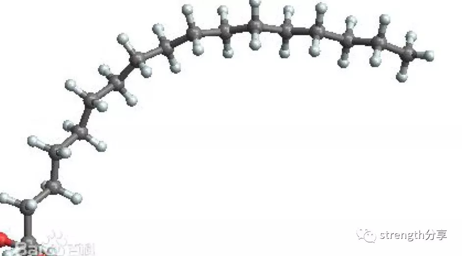 脂肪 其分子结构由碳氢氧构成在身体内储存结构为甘油三酯 脂肪酸的