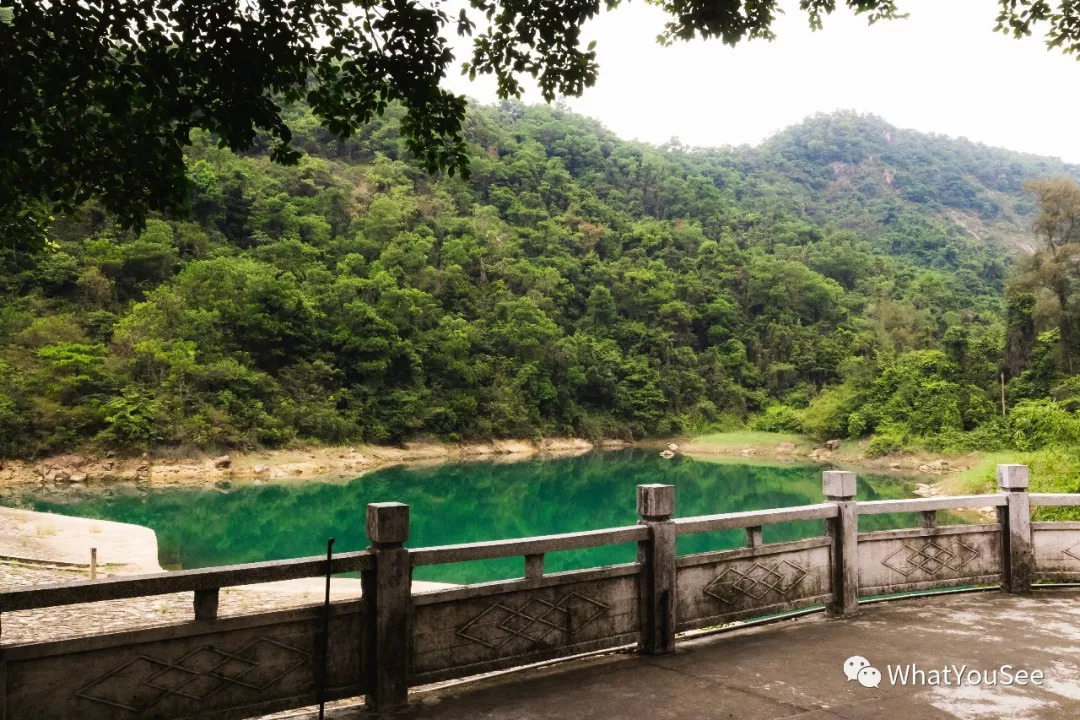 不一样的景色,纬创主播带你感受五桂山逍遥谷