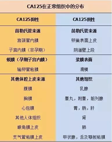 ca125升高不是卵巢癌还可能是什么情况