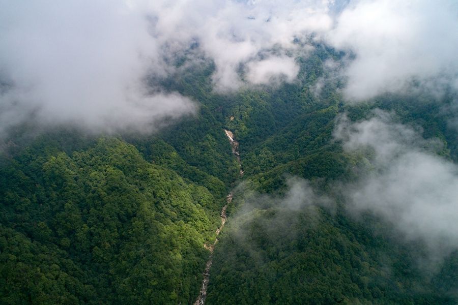 藏在秦岭深处的绝美风景——陕西汉中勉县云雾山风景区