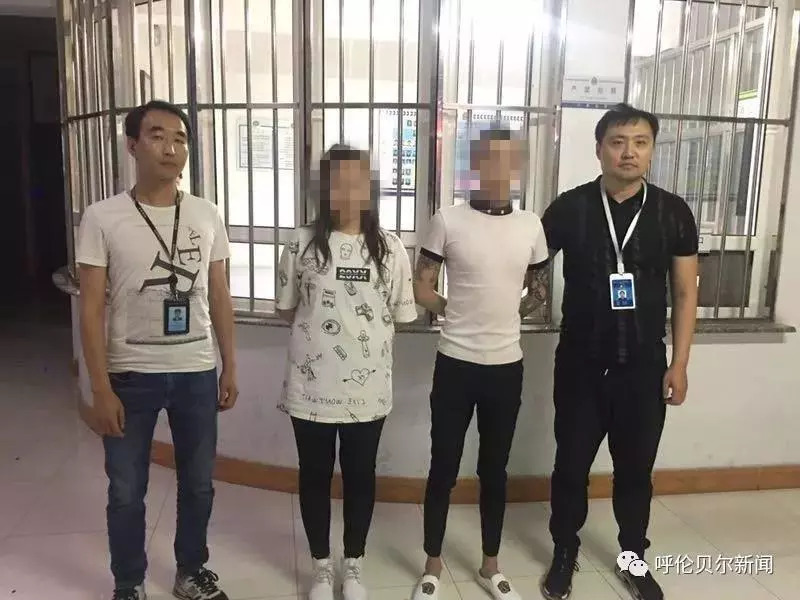 抓获11名嫌疑人,窝藏包庇犯罪嫌疑人1名,海拉尔公安分局成功破获一起