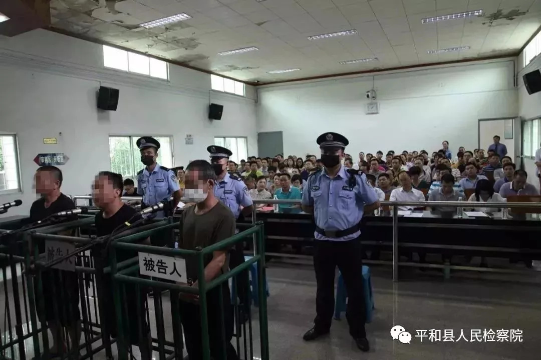 平和检察起诉当地监察委首起办理的首个职务犯罪案,180余人旁听庭审