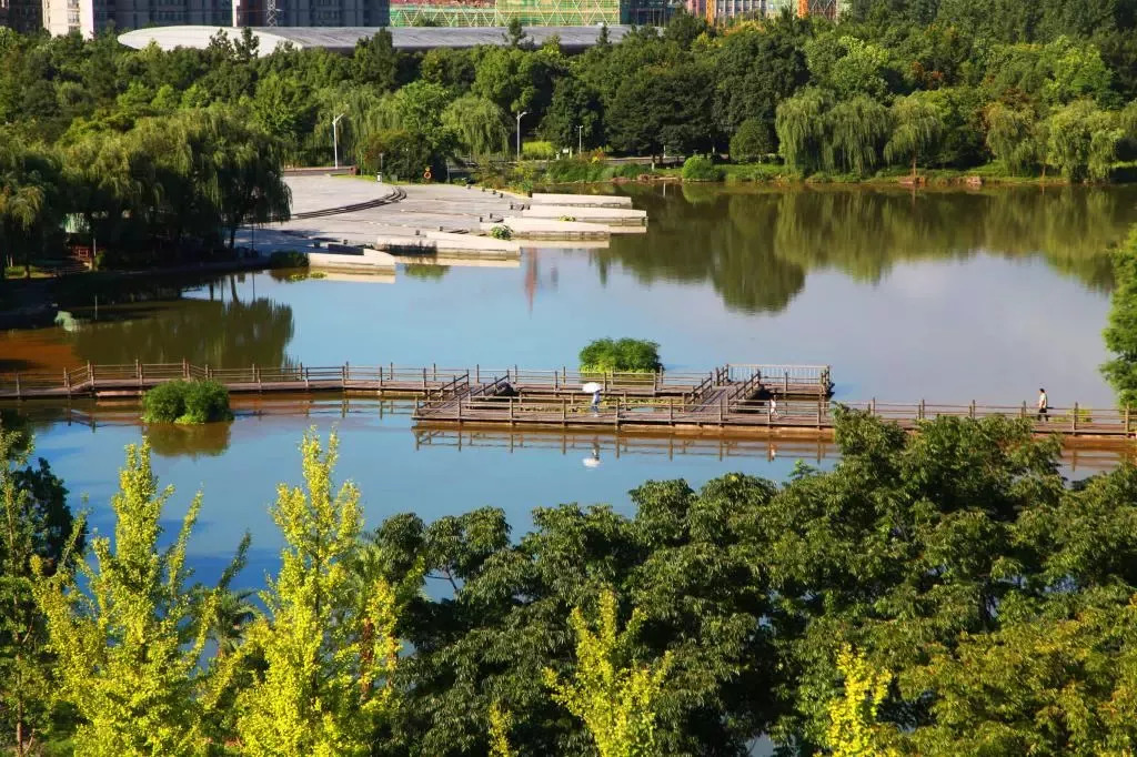 浙江农林大学 | 夏末初秋,一道别样的风景线!