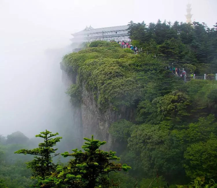 "导游,我跳舍身崖了"22岁小伙到峨眉山旅游留言要跳崖