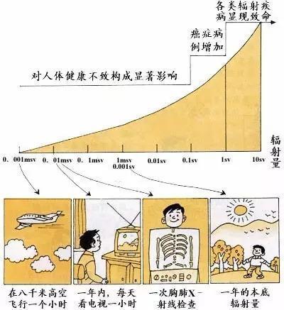 怀孕了拍了胸片怎么办