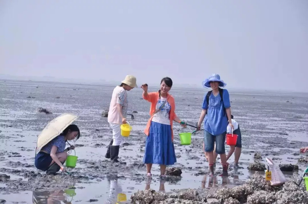 赶海or登山?开学季认识天津,这两场特别的旅程你选择哪一个?