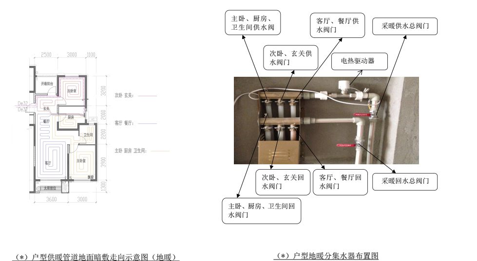 山东明年人口_山东人口分布图