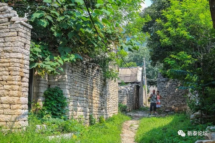 新泰市村落地名志东都镇平陵村