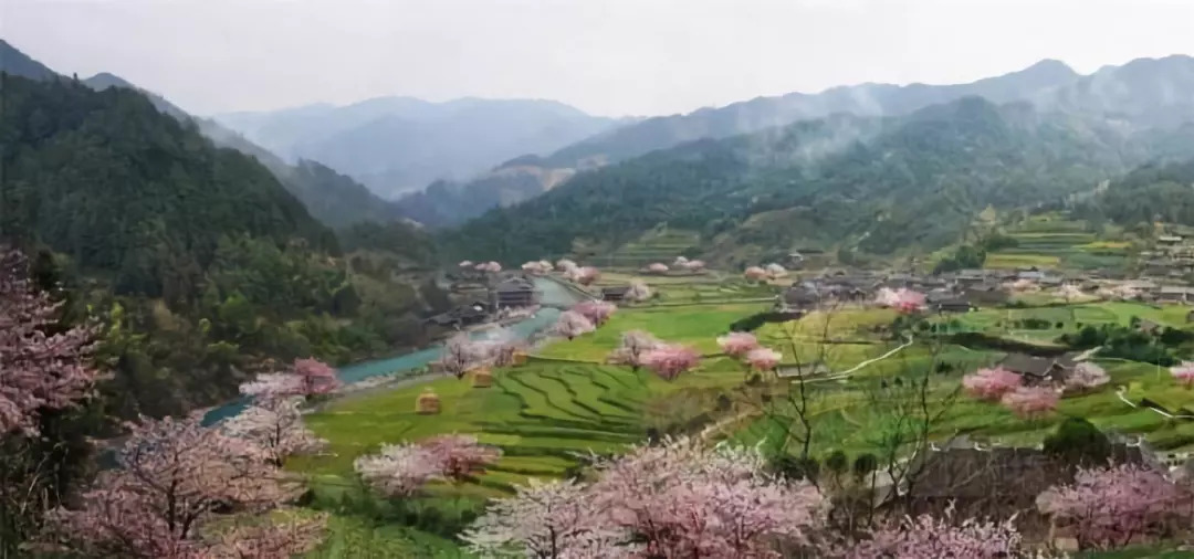 灰汤温泉"祖宗井"盛大开启,赶紧泡起来_灰汤镇