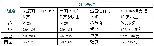 怎么办二级残疾证