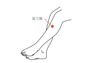 位置:足三里(膝眼直下3寸处)是"足阳明胃经"的主要穴位之一.