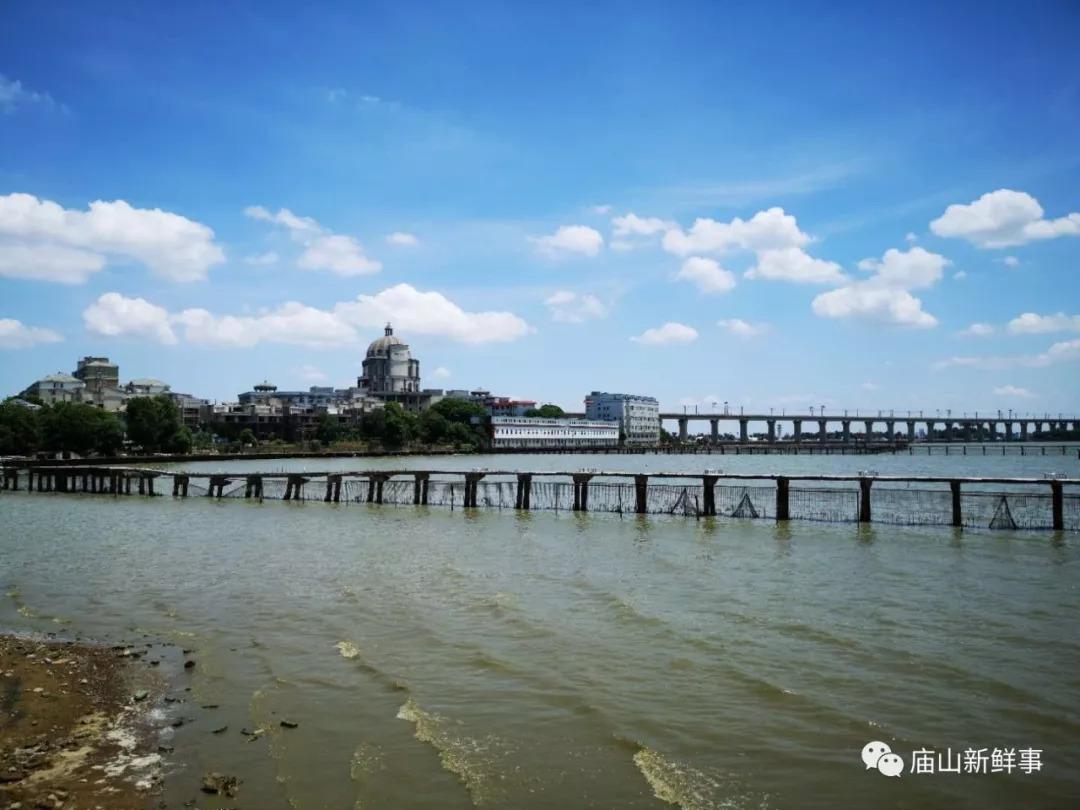 武汉再现油画般的蓝天白云美景!江夏庙山汤逊湖畔风景