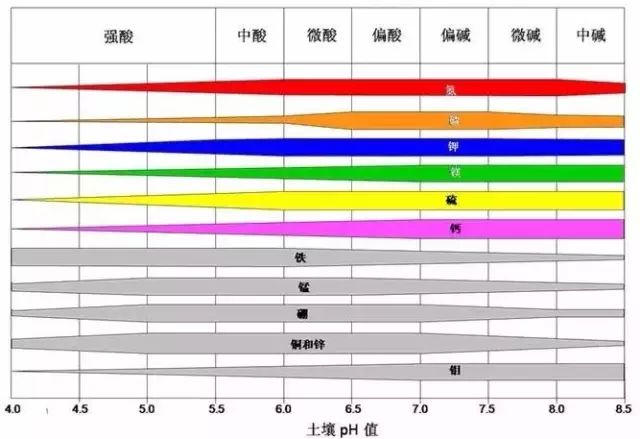 【普创分享】土壤ec值和ph值与作物生长的关系_植物