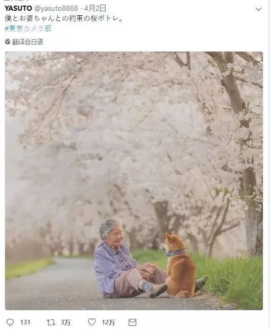 日本小哥給奶奶和家裡的柴犬拍攝了一組圖片，看完心都要被暖化了… 萌寵 第2張