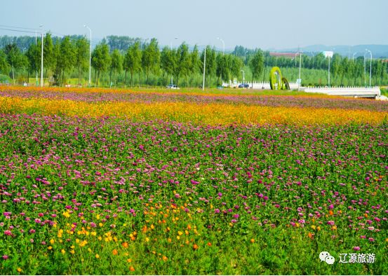 东丰县首届花海恐龙风车科普艺术文化节来啦