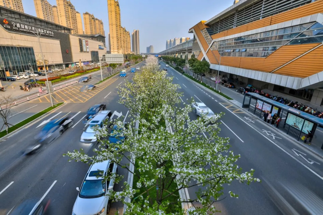 届时北仑可实现 与宁波几大城市客运中心的对接.方便市民的出行.