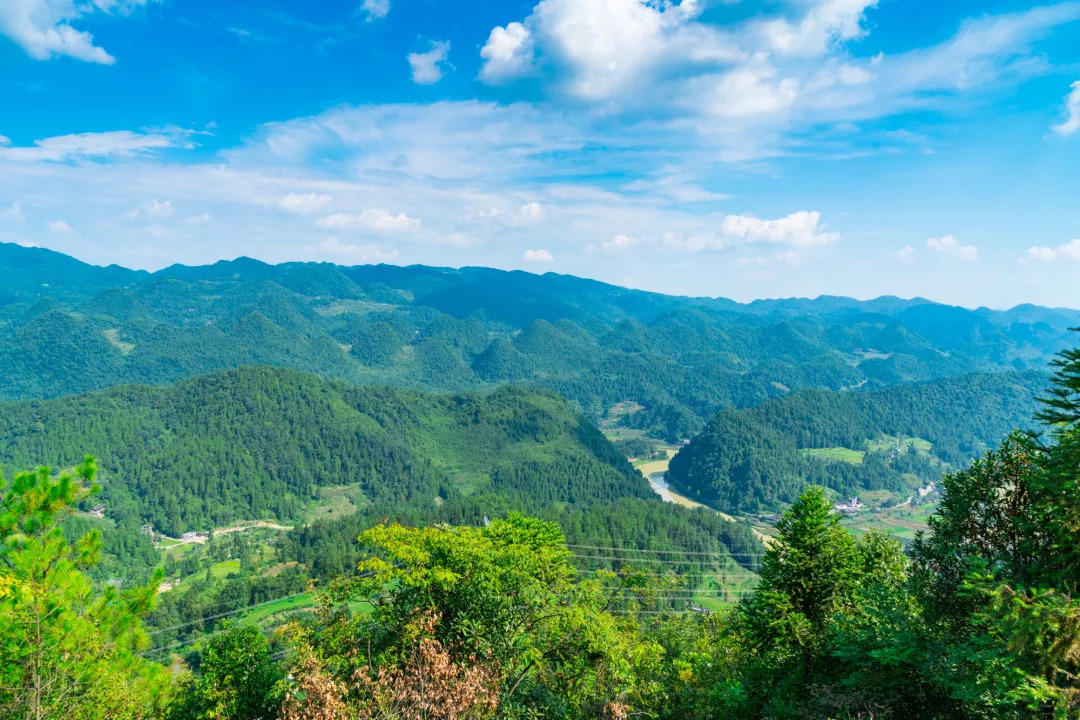 今日关注/留住咸丰最真实的历史和乡愁,这是新"四大亮点"