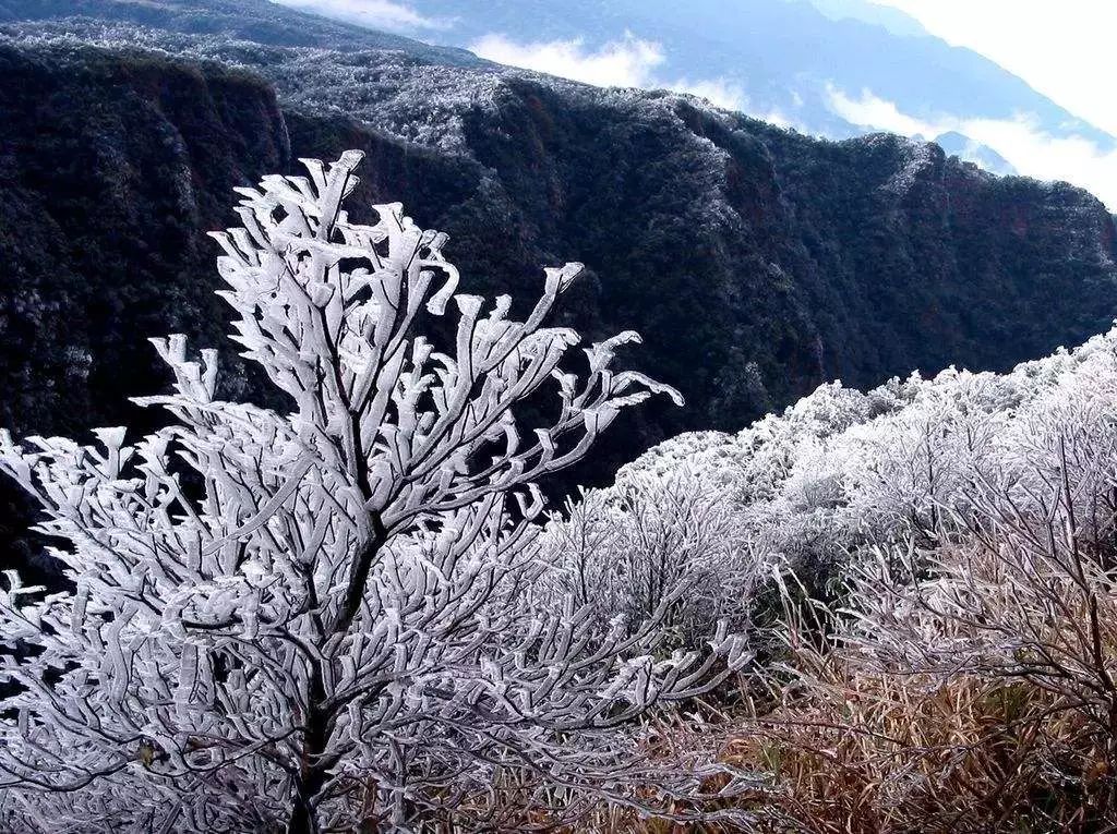 【299元】抢上林下水源溯溪度假家庭套票(2大1小),溯溪戏水,直饮山泉