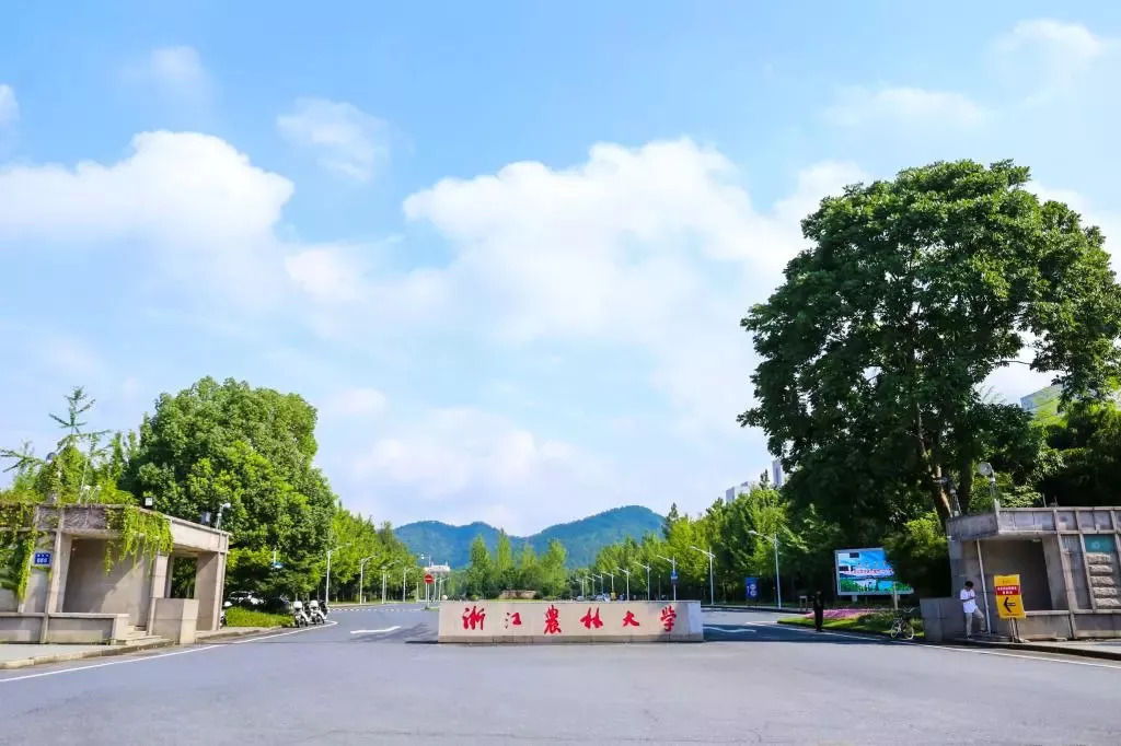 浙江农林大学夏末初秋一道别样的风景线