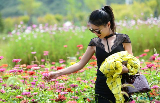 白桦林 花海 靓影 黄土高原上黄龙竟然如此绚丽 白马滩镇